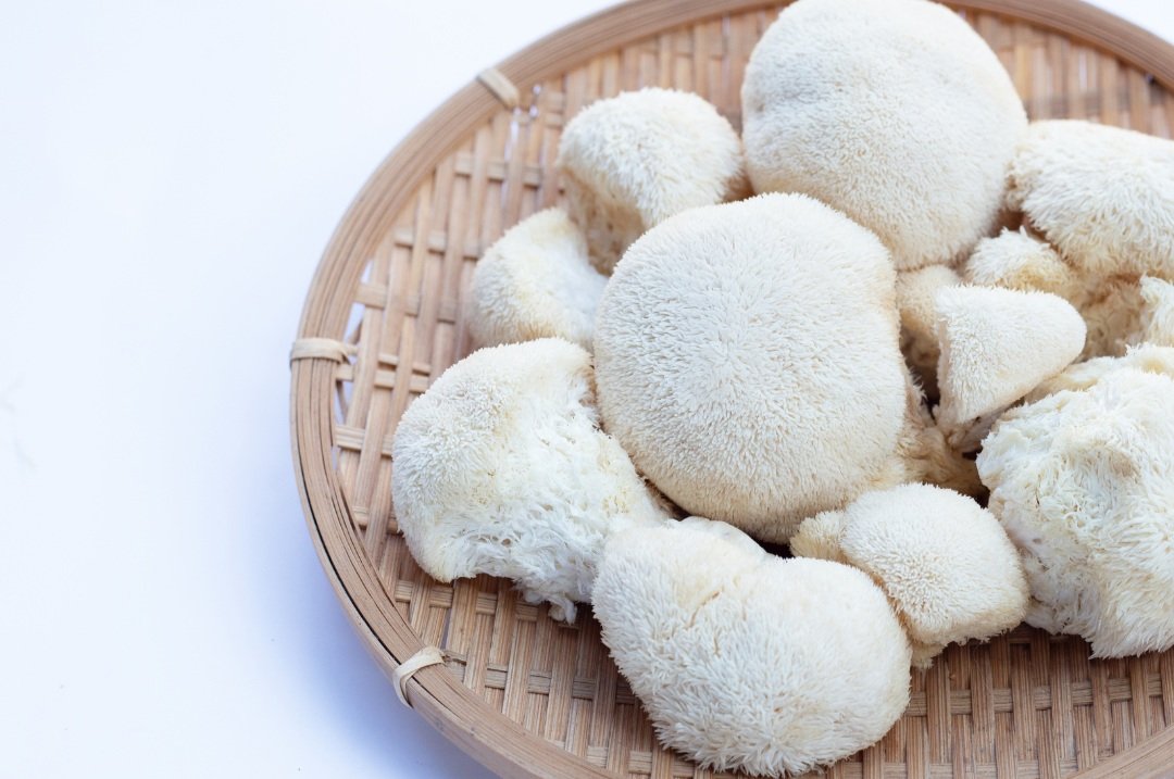 How Does Lion’s Mane Work? The Science Behind this Powerful Superfood